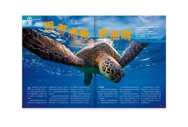 儿童阅读类报刊杂志订阅推荐,儿童订阅什么杂志最好