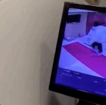 娱乐圈也不是法外之地,娱乐圈鱼龙混杂