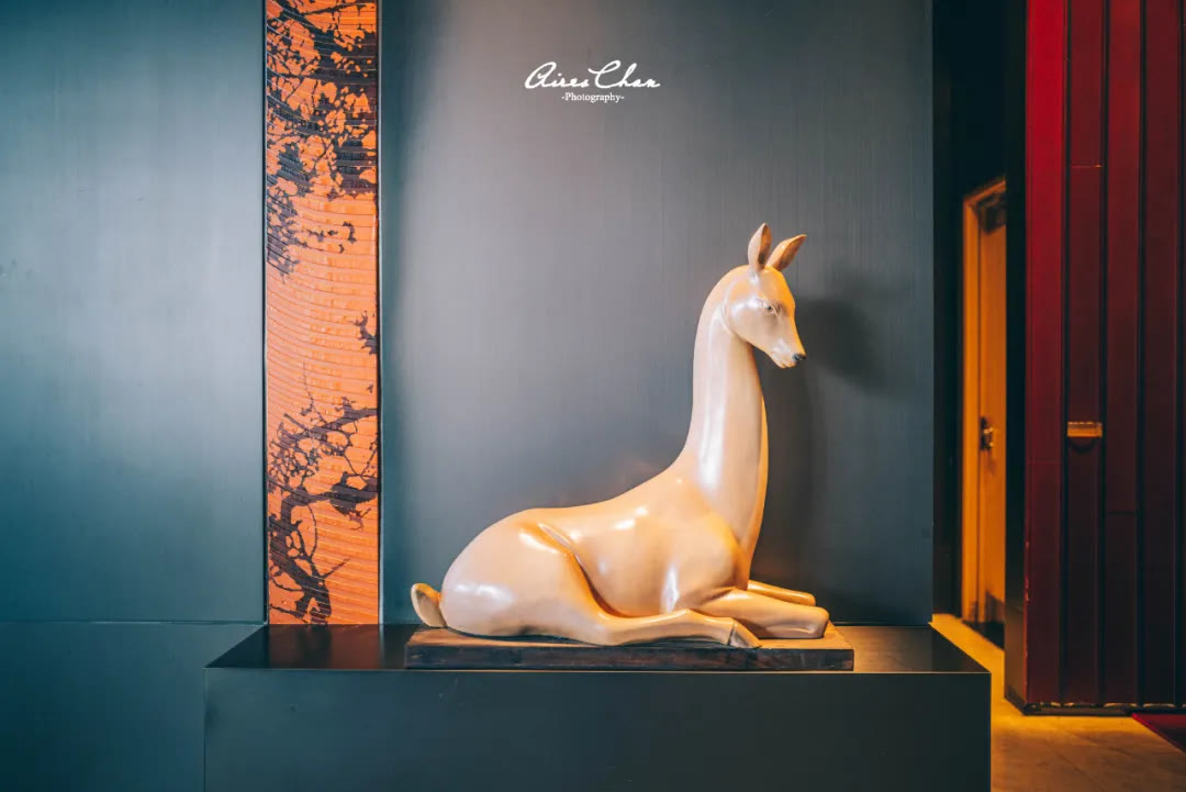 闀挎矙鍚涙偊閰掑簵鑼堕鎮﹁壊 (闀挎矙鍚涙偊鑼堕鎮﹁壊鍏嶈垂)