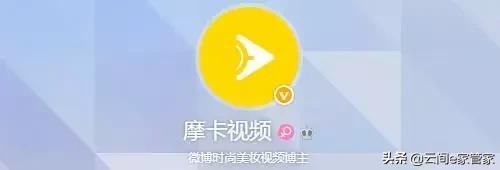 没想到这些大号他们“制造”出来的,这些大号你关注了哪些呢?