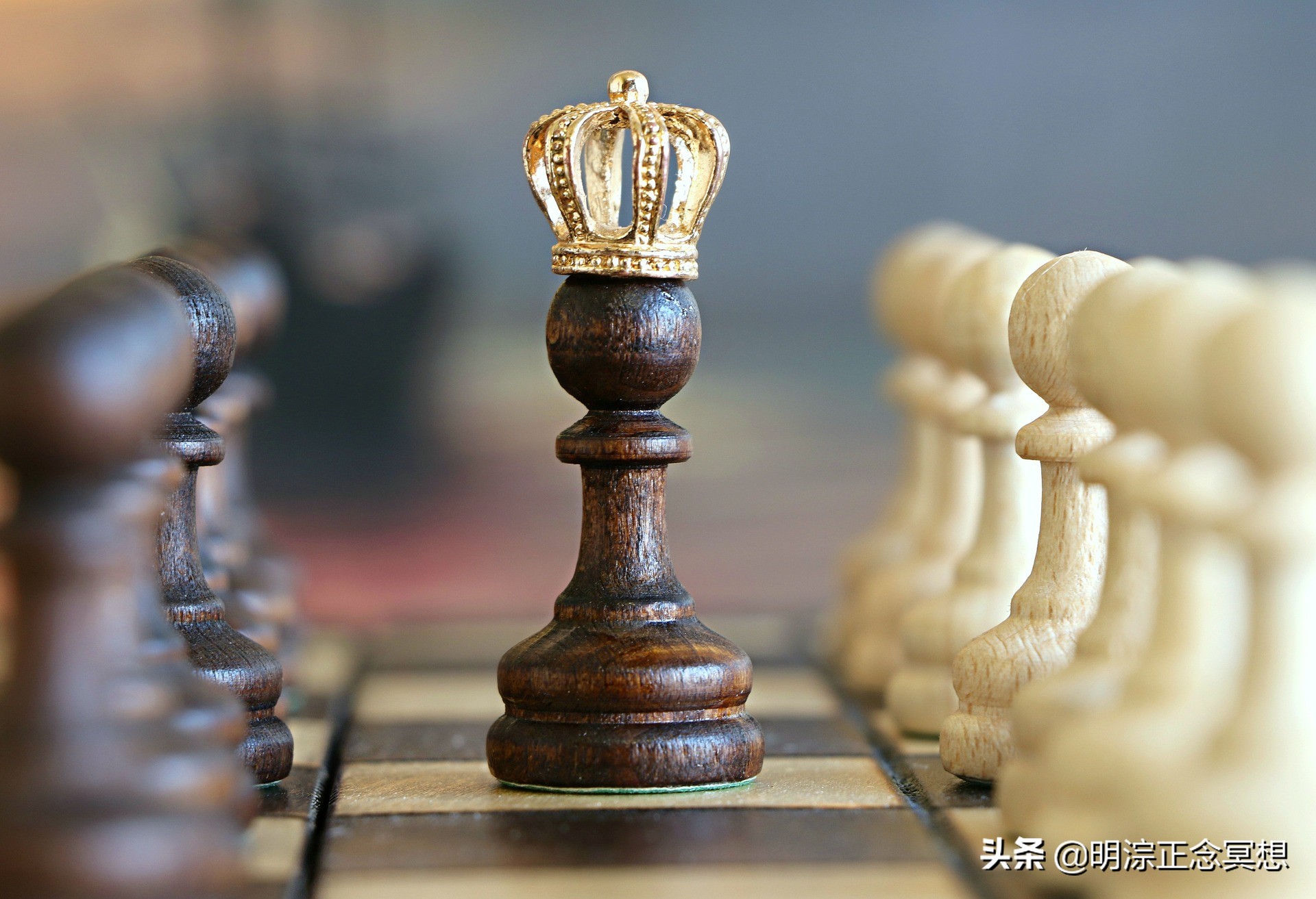 「明淙千问（65）」我们如何处理因恶性竞争导致的矛盾？