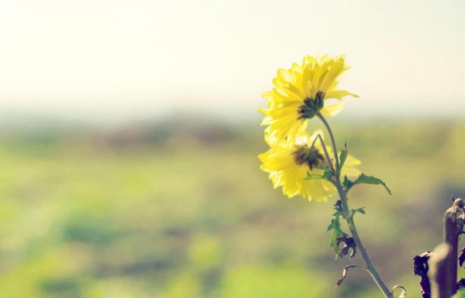 高中化学推断题常考知识点总结,高中化学实验常考知识点