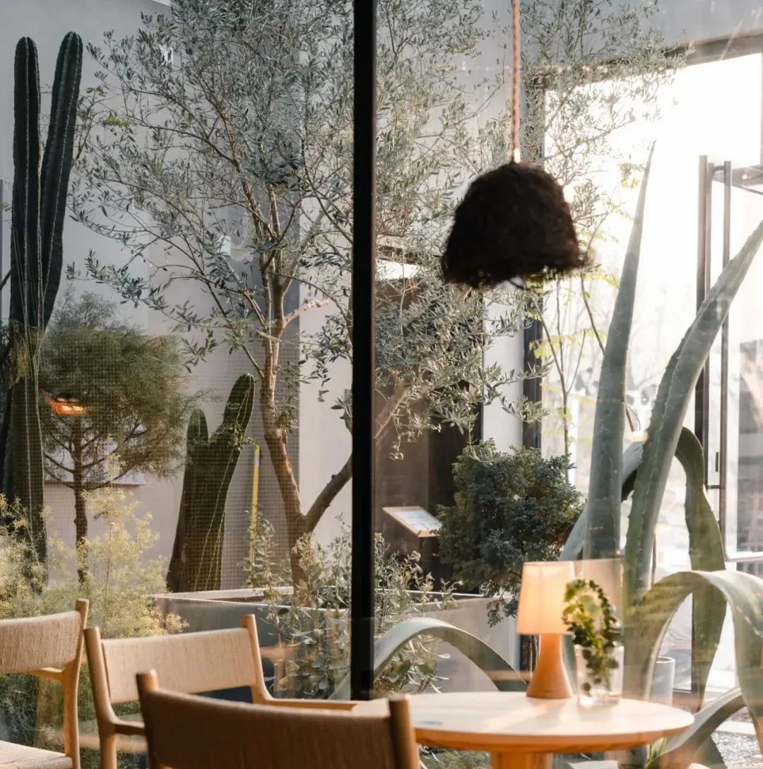 京城首家！探秘最热门“一尺花园”咖啡馆，西山脚*体下**会海派腔调