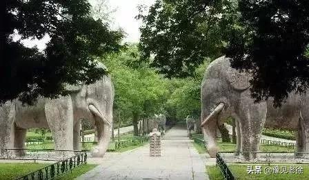 南阳赏花最佳地点,南阳春天赏花的地方有哪些推荐