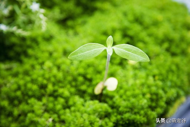 和经常一起出差的同事发生了关系，这样的感情牢固吗？我该怎么办