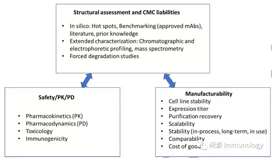 治疗性抗体系列,治疗性抗体原理