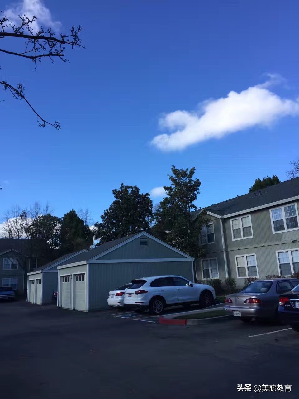 史密斯学院是什么档次,美国文理学院史密斯学院