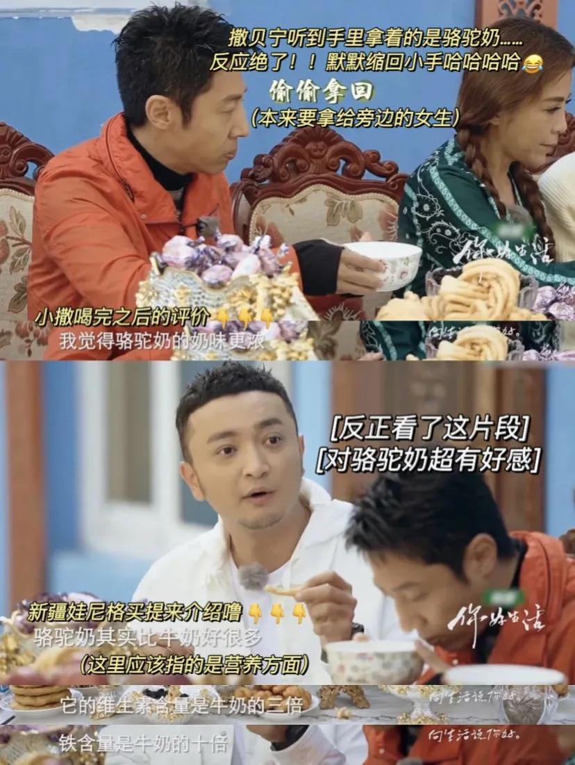 很好看的国货品牌,好吃的国货良心推荐