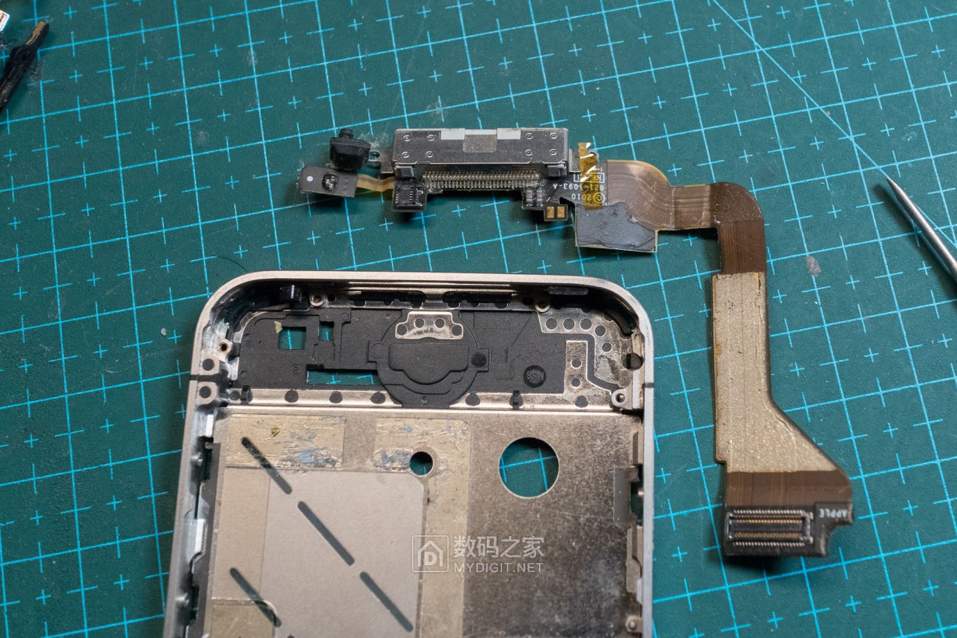 把未拆封的iphone4做成标本,iphone4被做成标本