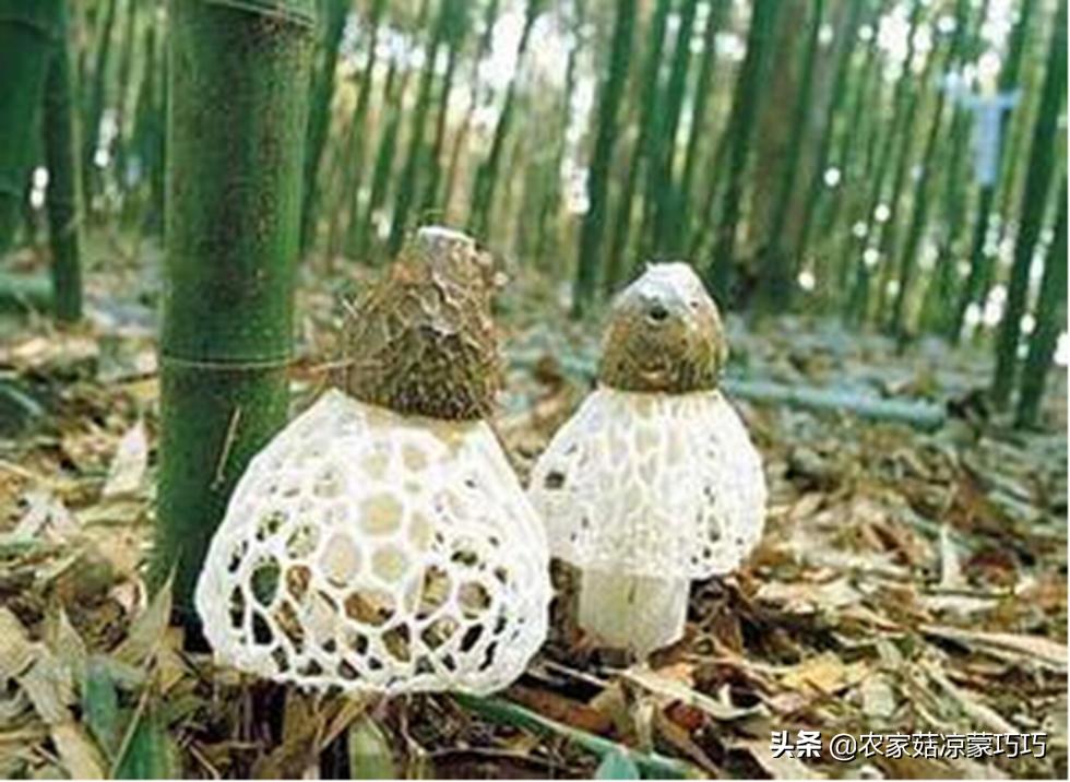 中国有几个昭通,中国有多少个昭通