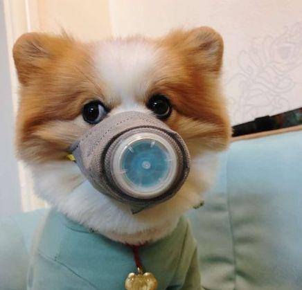 weyvv6使用技巧,weyvv6新手教程