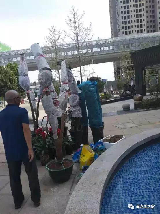 新郑龙湖九号院什么时候复工,龙湖九号院入住