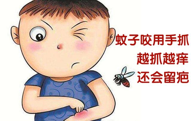 宝宝蚊子咬了快速止痒,宝宝蚊子咬药膏止痒除疤痕