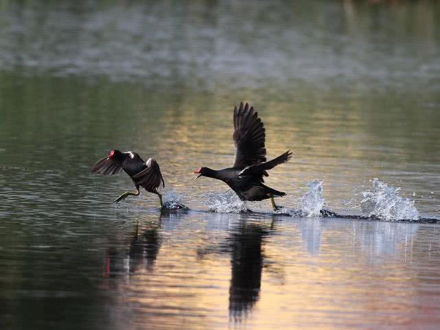 市场缺斤少两被揭穿,市场供不应求