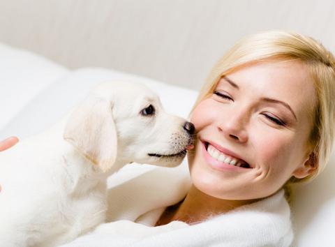 狗狗总是喜欢舔人怎么回事,狗狗总喜欢舔主人的手是咋回事