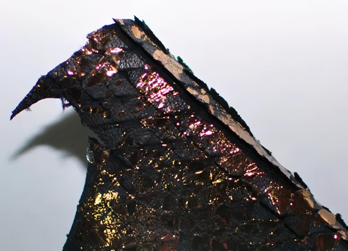 如何鉴定蛇皮包包 (如何辨别蛇皮包真假)