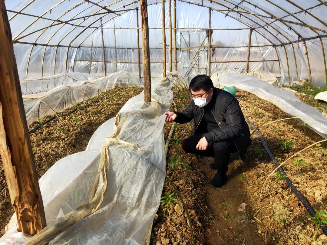 防疫不松懈坚守岗位,防疫不放松