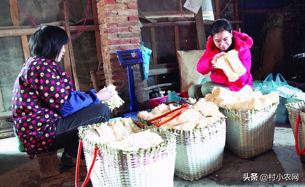 未来五年农村什么生意最赚钱项目,2023年农村创业啥最挣钱
