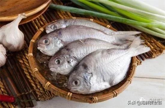 好吃不贵的海鲜种类有哪些,最好吃又最常见海鲜有几种