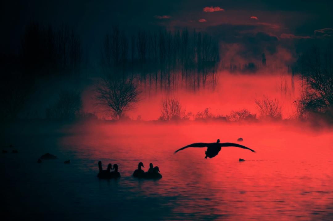 香港第14届全国摄影艺术展,第29届全国摄影艺术展览获奖名单