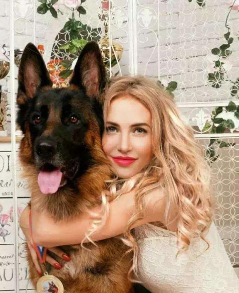 马犬与德牧哪个好饲养,马犬和德牧哪个更适合城市饲养