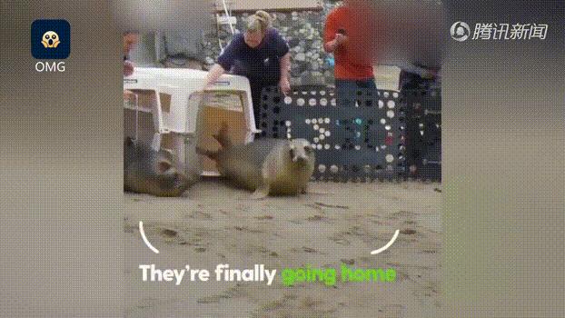 被囚34年取精，被迫亲手杀死爱子，最后只能挣扎着死去……