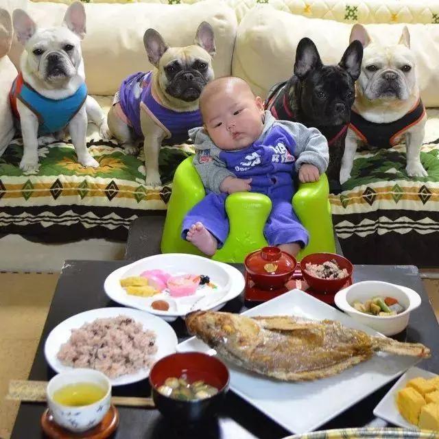 论坑娃我们是认真的,坑娃的十大恶心事