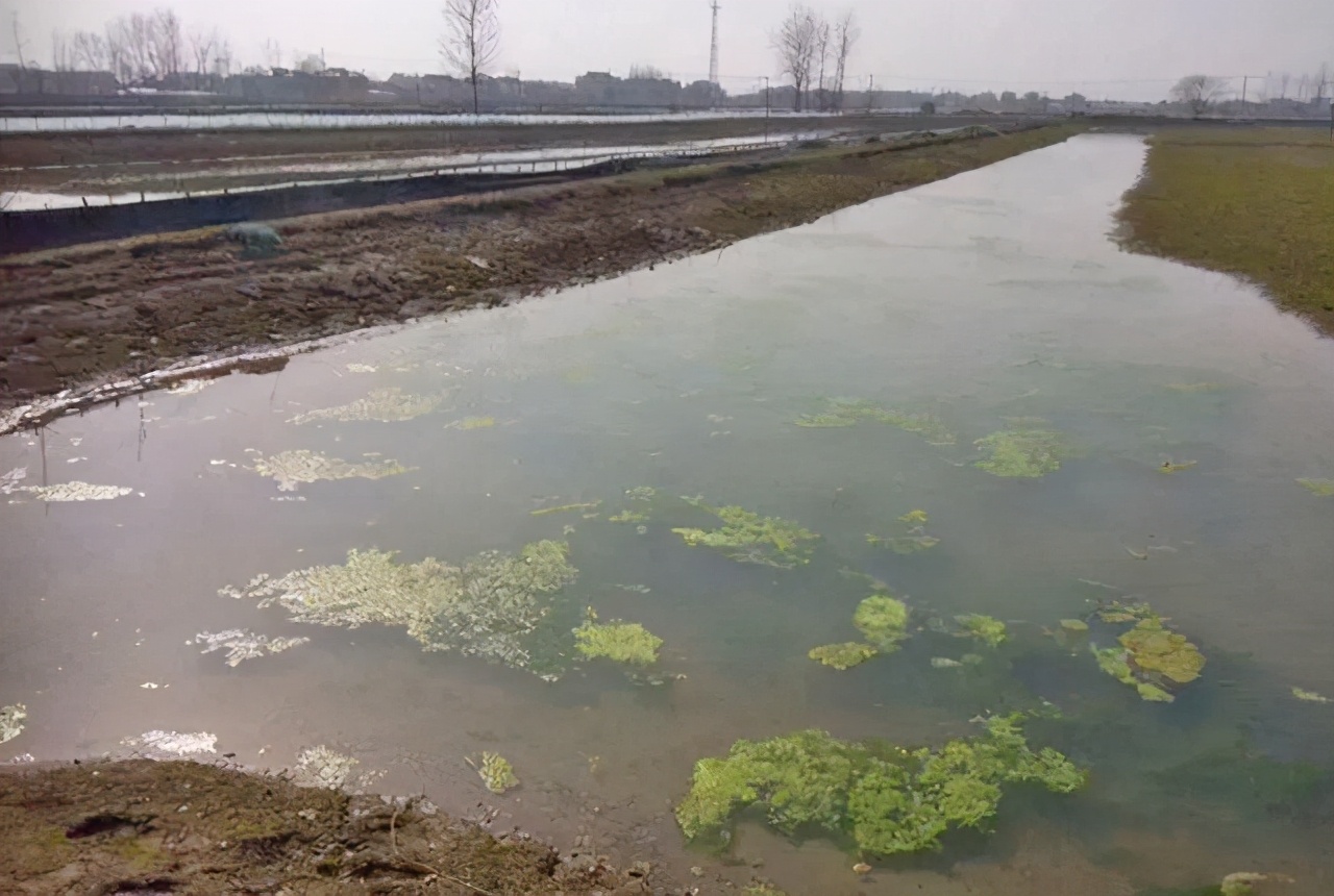 倒春寒螃蟹塘怎么办,低温寒潮鱼塘如何应对