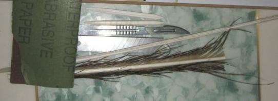 钓鱼公开课教学,钓鱼公开课完整版