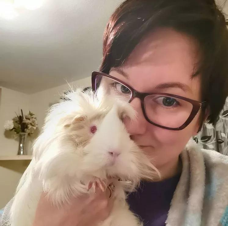 一群母豚鼠混入一只公豚鼠后：生几十只鼠崽，铲屎官年入几十万