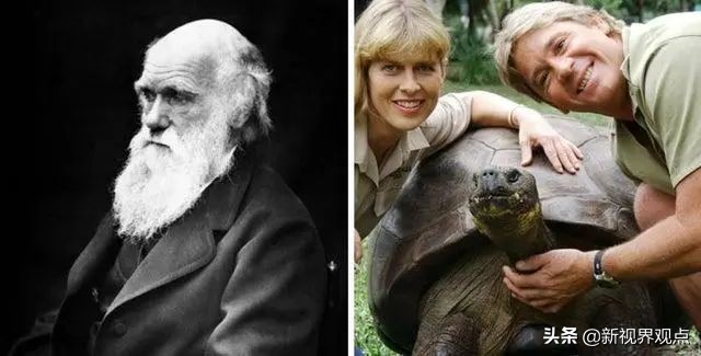 这组很少见的图片，看完知识储备量又增加了