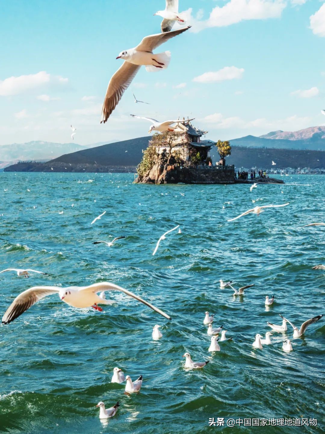 云南有个地方比大理丽江更出名,昆明风景为什么没有大理和丽江好