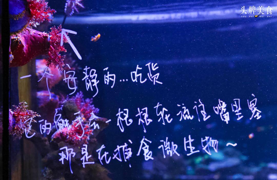 绚丽珊瑚海300+种海底生物，火爆盆友圈的网红打卡圣地就在中山路