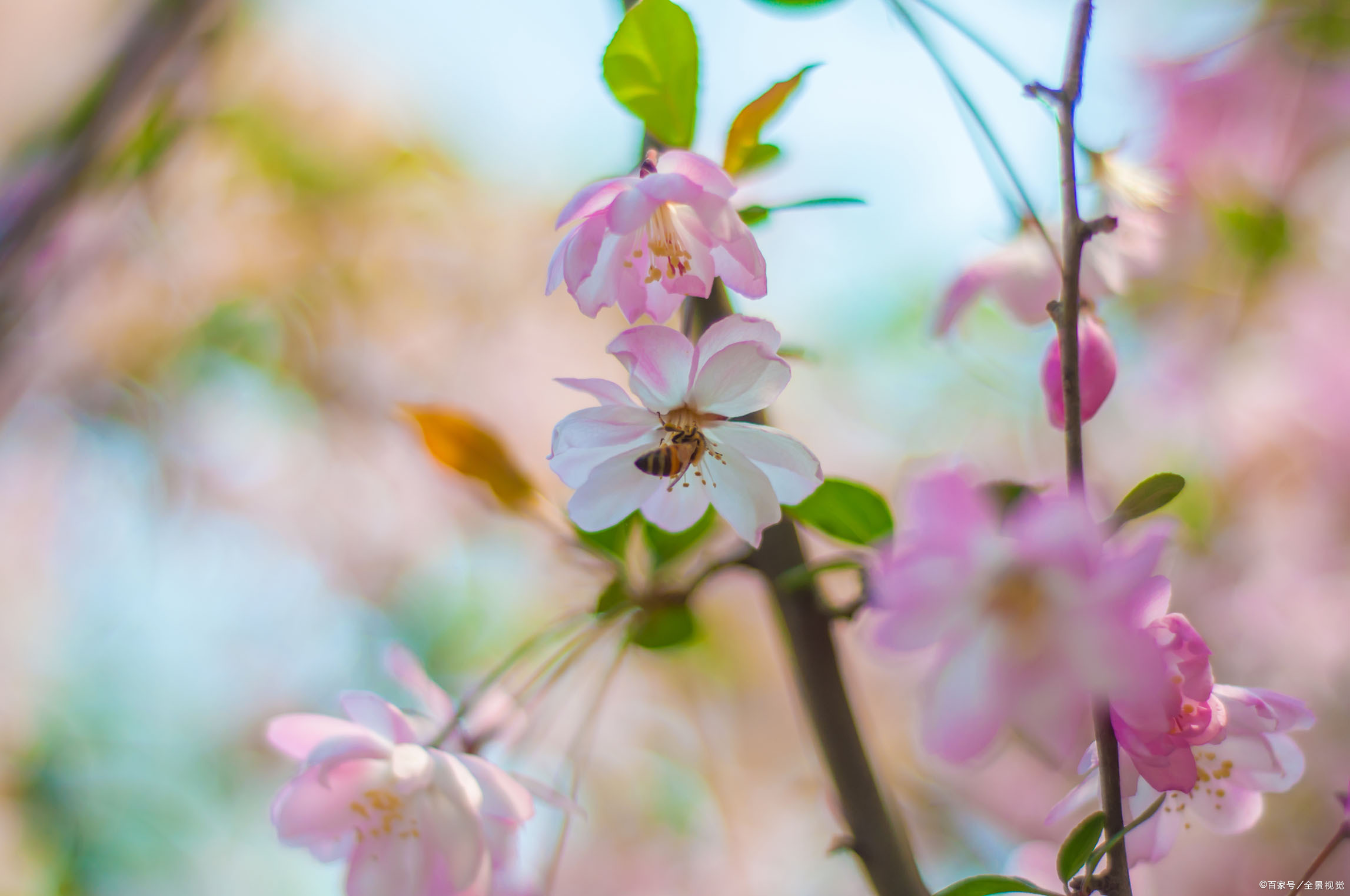 不喜怒偏执，是最大的善；过分偏执易怒是病，得治疗