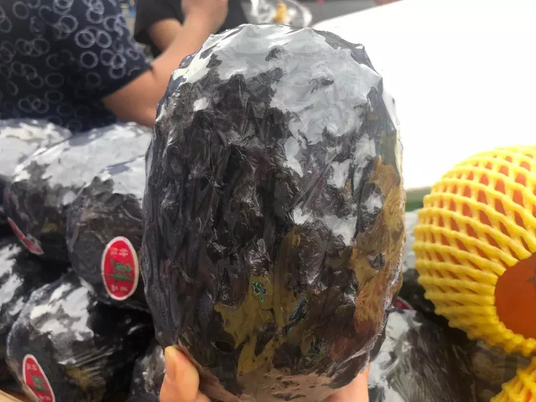 蜗旅自驾游,蜗游记vlog