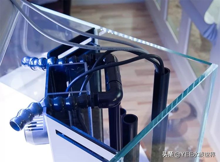 有必要买超白缸吗,哪种超白缸好