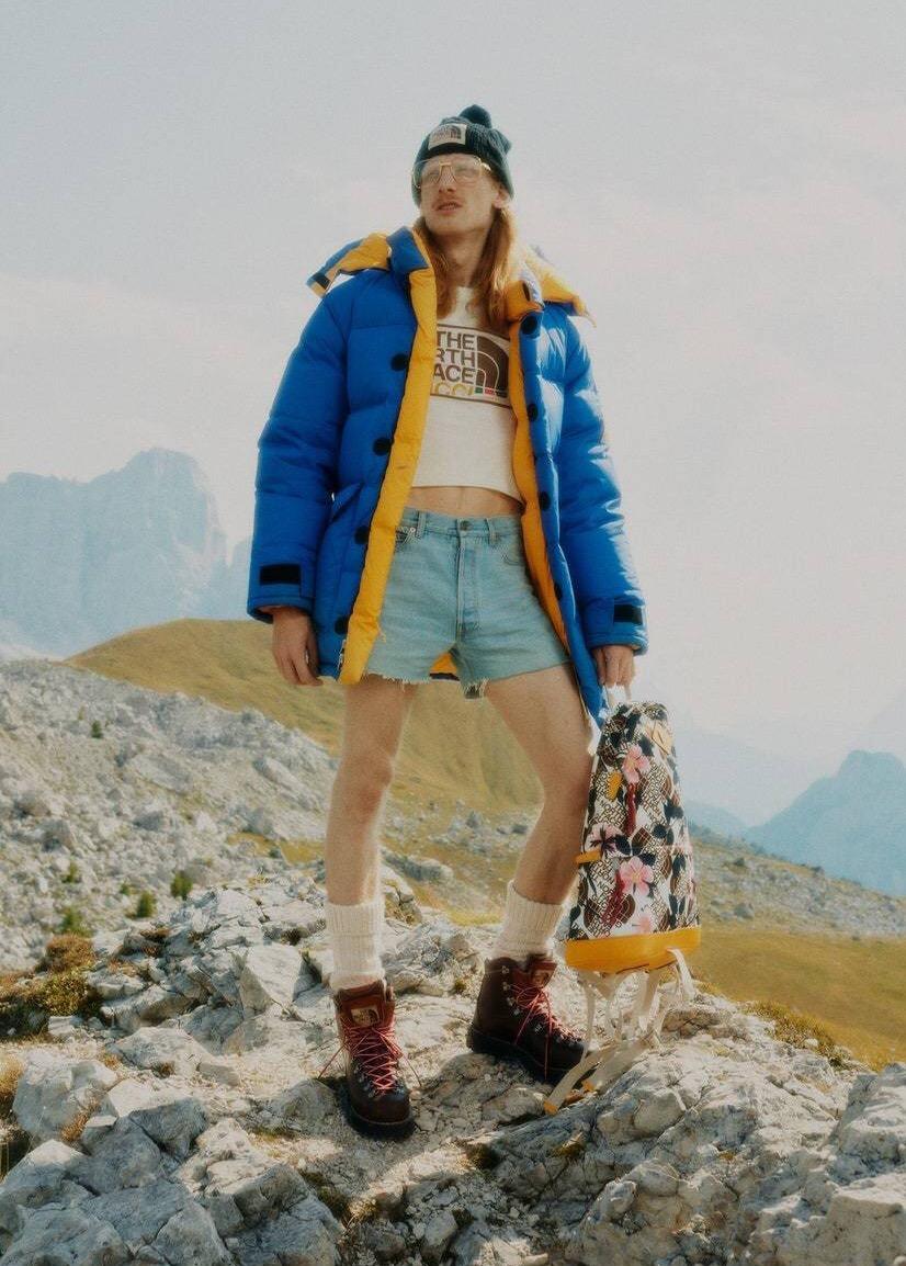 攒钱买波司登 (买大鹅还是买波司登)