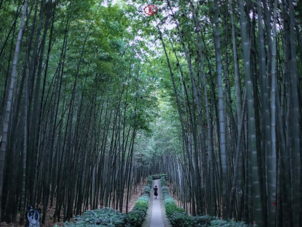 桐庐夜游富春山居景区,桐庐富春江夜游和白天游