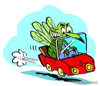 蚊子传染艾滋病毒吗,蚊子会传染艾滋病吗