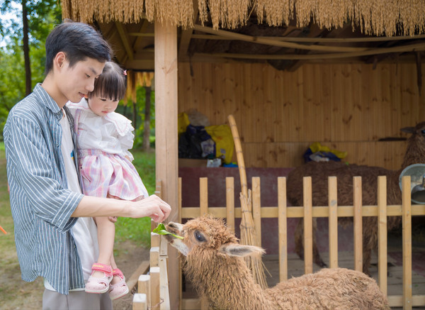 苏州同里古镇亲子游,苏州同里湖二期亲子游