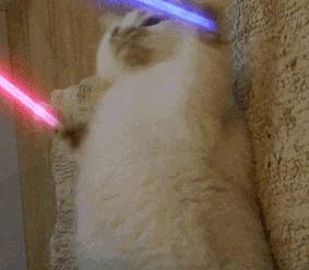 word插入图片排版布局,word图片和文字排版