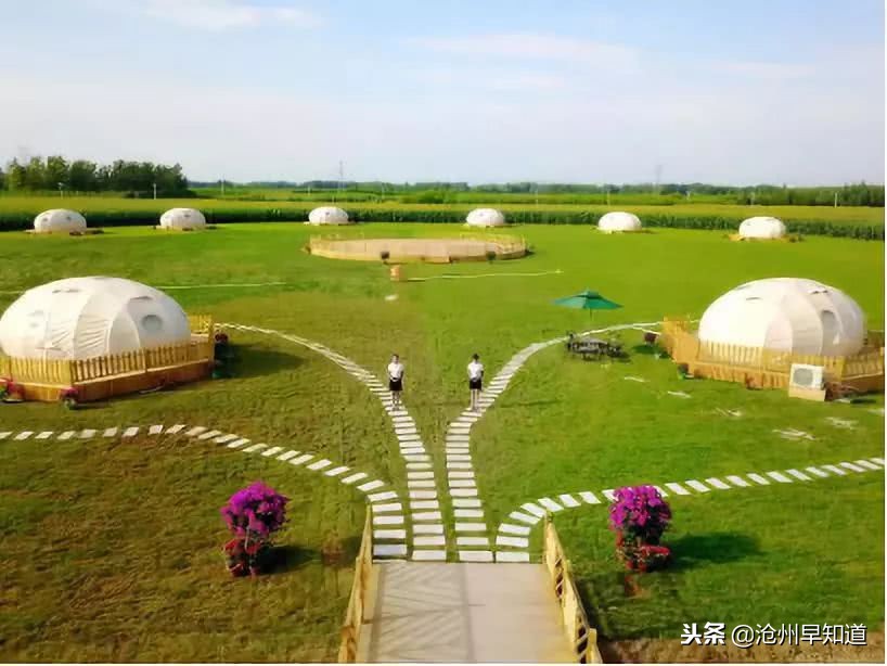 沧州旅游攻略必玩的景点冬天,沧州游玩攻略必去景点