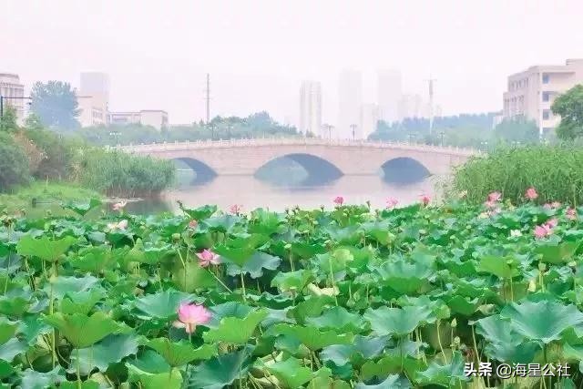 无锡十大免费公园排名榜最新,无锡晚上公园免费景点