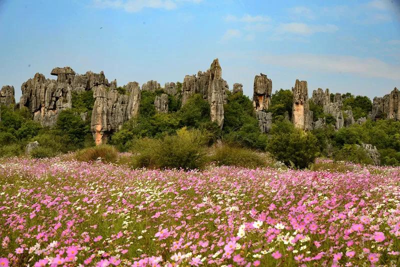 云南最美的旅游景点排名,大美云南11个县域旅游地