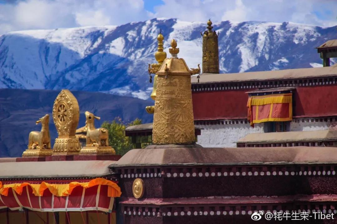 拉林铁路有哪些高铁站,拉林高铁美景