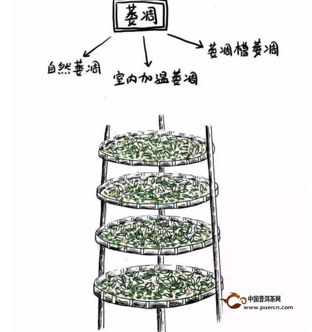 茶的认识与使用方法,正确的茶知识大全