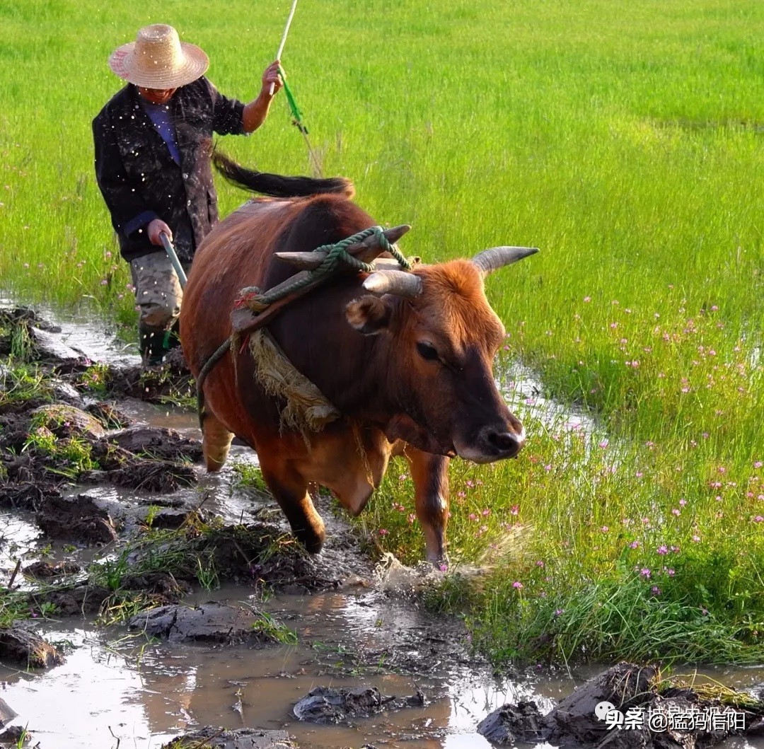 美丽中国信阳商城,信阳美在哪里图片