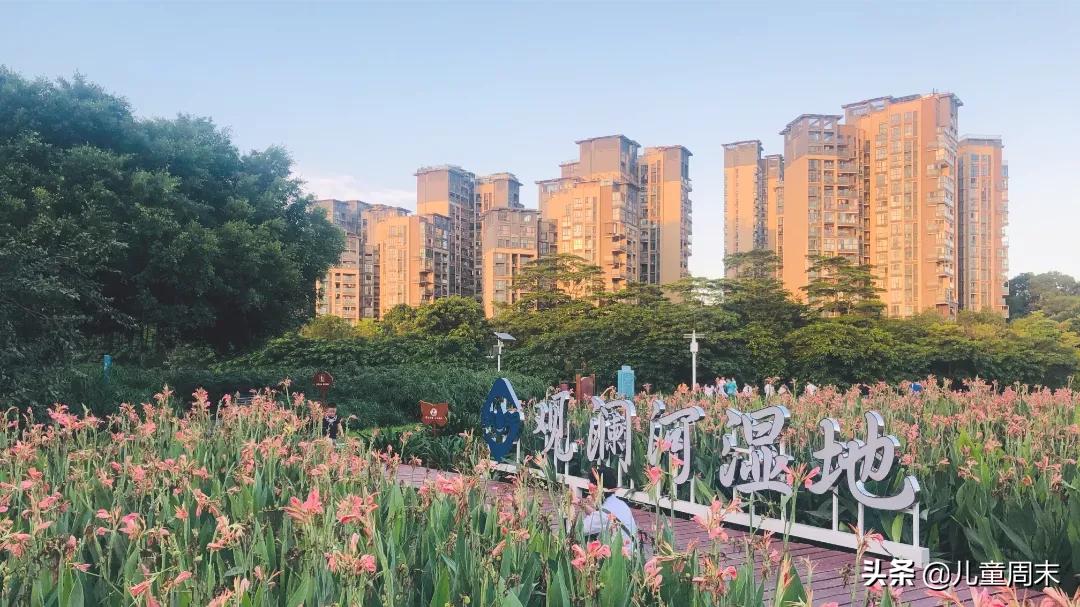 深圳带娃免费旅游推荐,深圳带娃出游景点攻略推荐