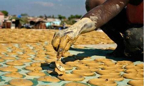 海地和多米尼加共同岛屿,海地与多米尼加同处一个岛屿