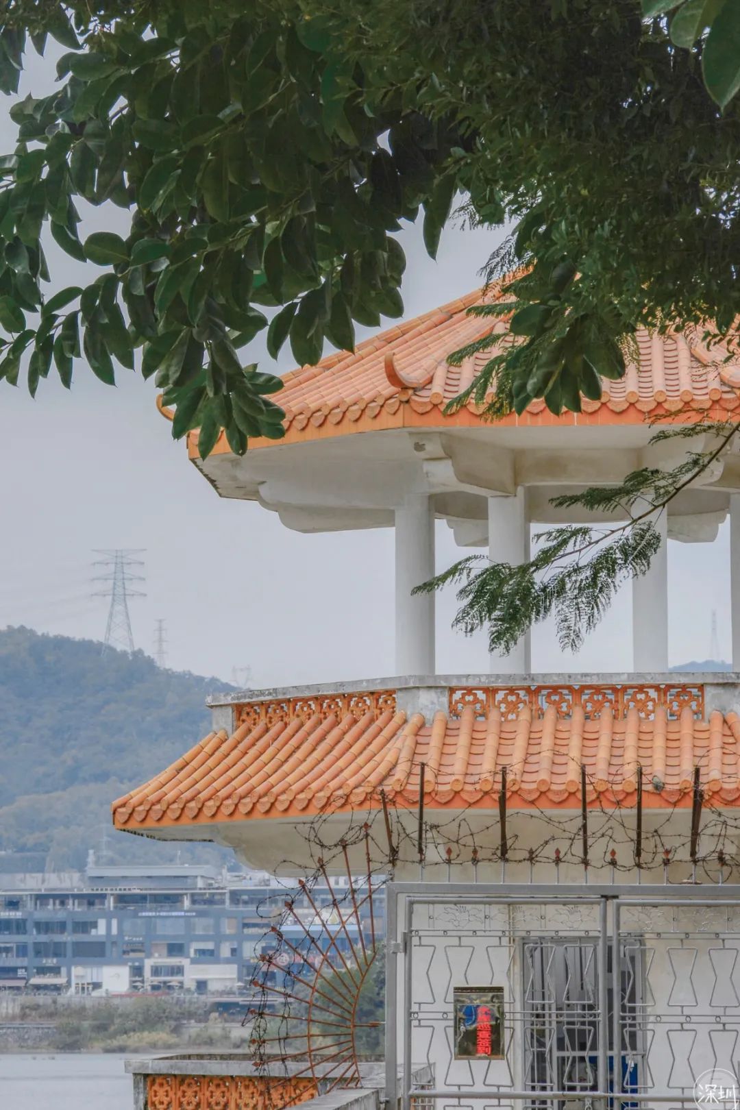 香蜜湖约会,香蜜湖真的要再见了吗